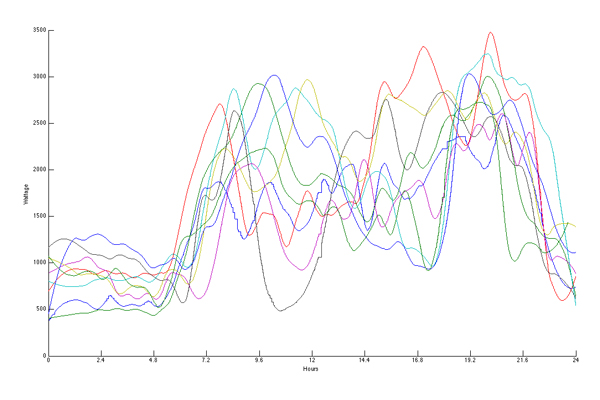 Common Electricity Usage